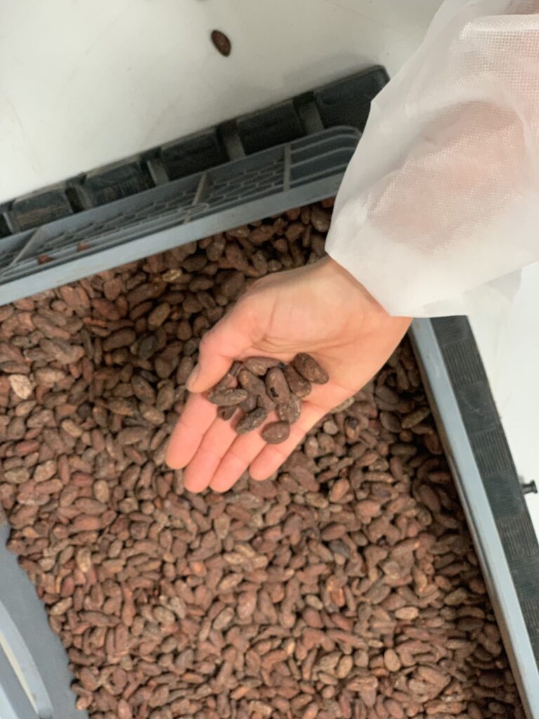 Sourcing our chocolate from Ecuador